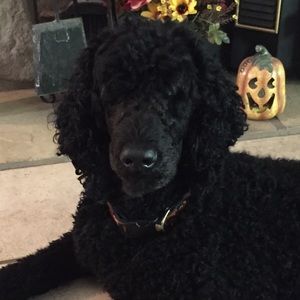 Meet your Posher, Colleen